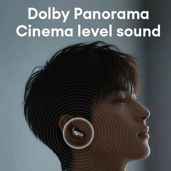 Earphones with Earbuds