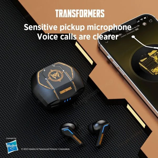 Earphones with Earbuds